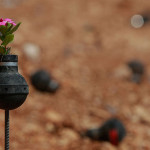 Dalle granate nascono i fiori
