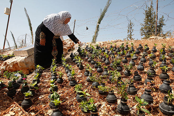 Dalle granate nascono i fiori - Giardino creativo in Palestina