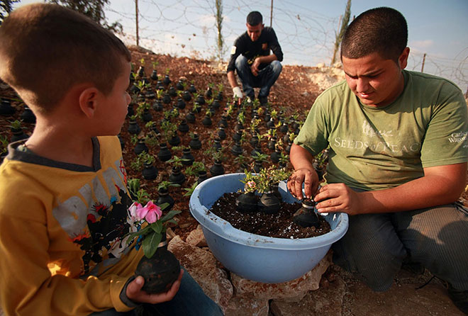 Dalle granate nascono i fiori - Giardino creativo in Palestina