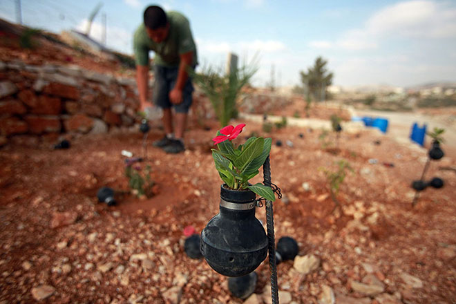 Dalle granate nascono i fiori - Giardino creativo in Palestina