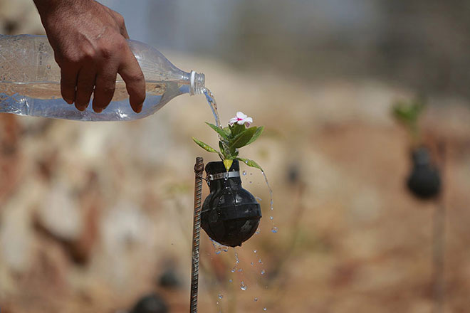 Dalle granate nascono i fiori - Giardino creativo in Palestina