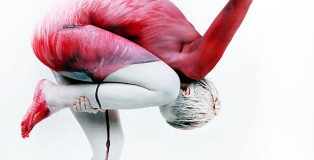 Animal Body Art - Artist: Gesine Marwedel