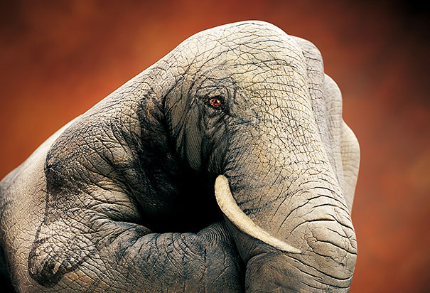 Artist: Guido Daniele