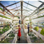Urban farmers rooftop – Design strategico