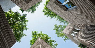 Vo Trong Nghia - House of trees