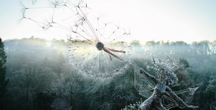 Robin Wight - Fantasy Wire Sculptures