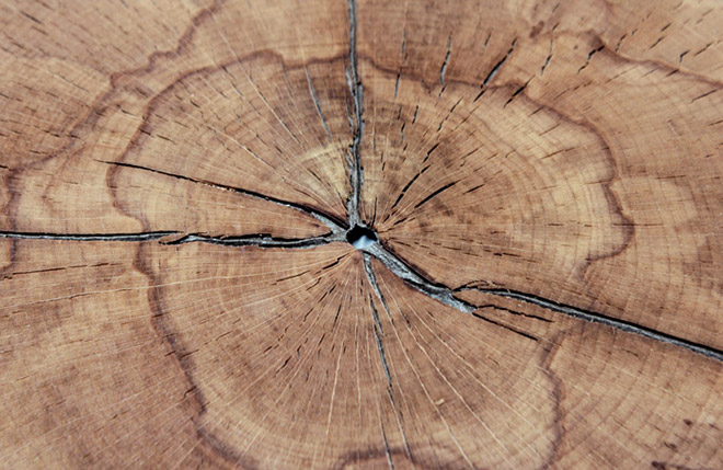 Years - A record player that plays slices of wood