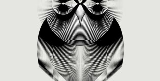 Andrea Minini - Animals in Moirè, Owl