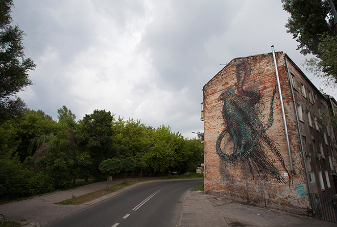 Dormant Antennae - Warsaw, Poland