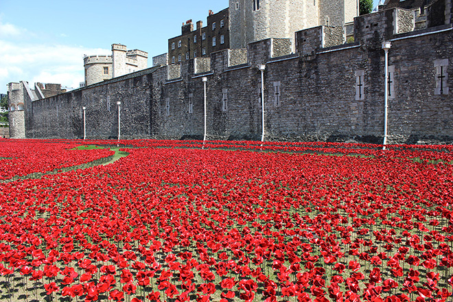 Blood Swept Lands and Seas of Red