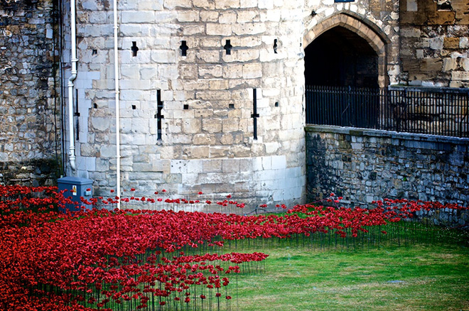 Blood Swept Lands and Seas of Red