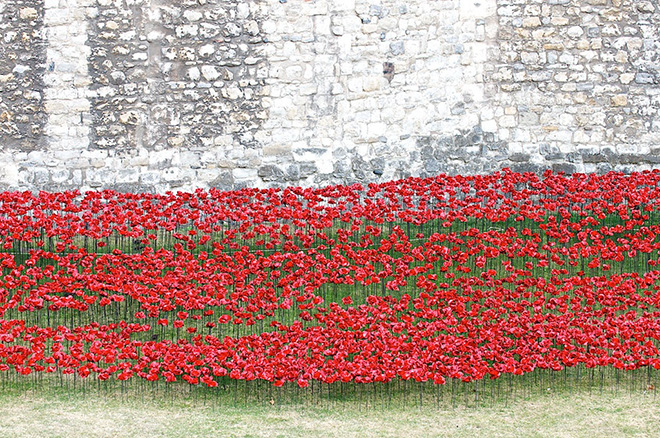 Blood Swept Lands and Seas of Red