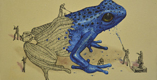 Ricardo Solis - Frog