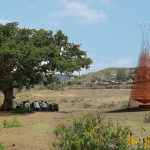 Warka Water – Architecture and Vision