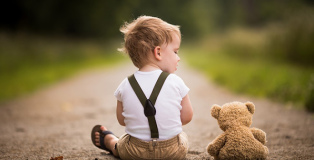 Adrian Murray - Teddy series