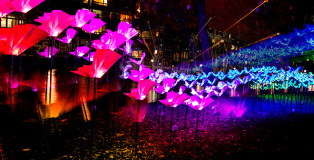 Aether & Hemera - On the Wings of Freedom, Amsterdam Light Festival