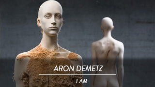 Aron Demetz - I am