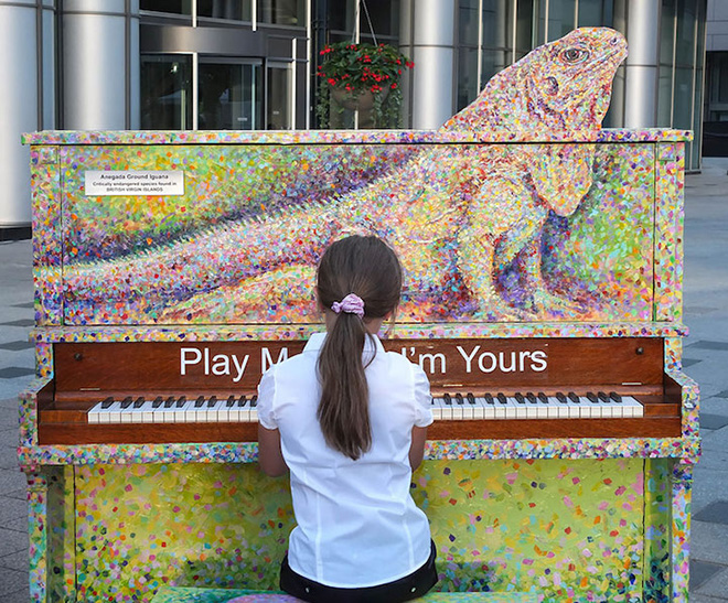  Street piano, Play me, I'm yours - Toronto, Canada, 2014