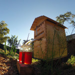 Flow Hive – Easy Honey