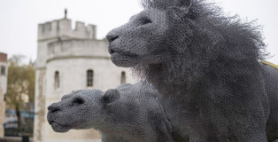 Kendra Haste - ROYAL BEASTS - MALE LION (2010-2011) Steel armature & painted galvanised wire - unique