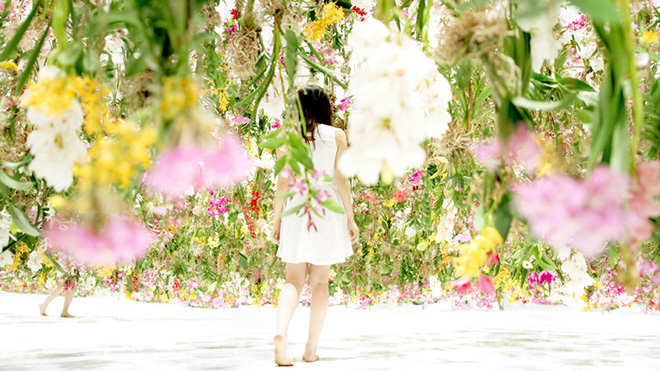 Floating Flower Garden - TeamLab