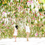 Floating Flower Garden – TeamLab