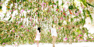 Floating Flower Garden - TeamLab