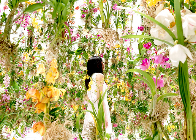 Floating Flower Garden - TeamLab