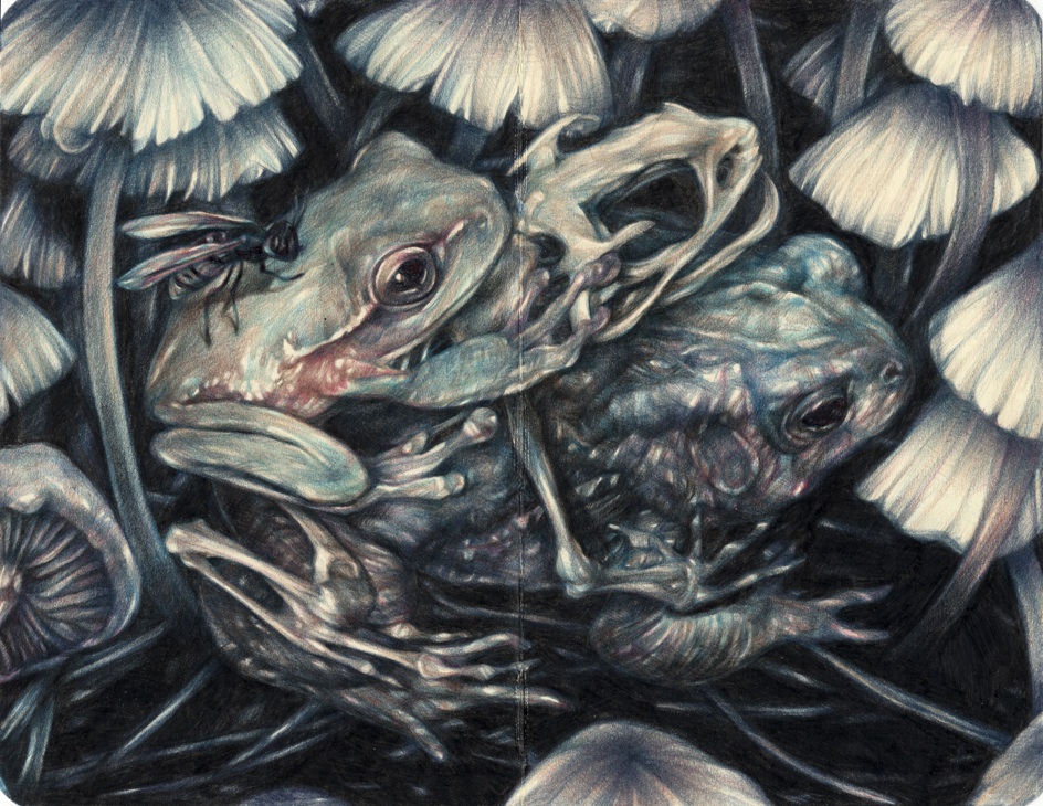 Marco Mazzoni - Home