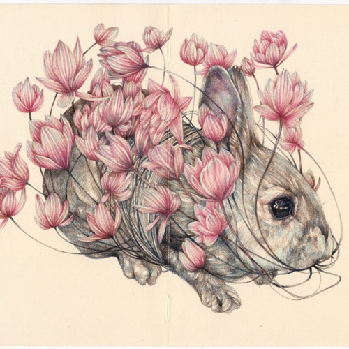 Marco Mazzoni - The gardener - colored pencils