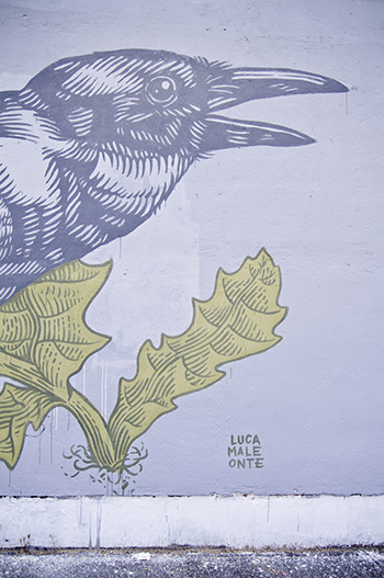 Grammatica Naturale - Lucamaleonte, murales Grauen Gallery