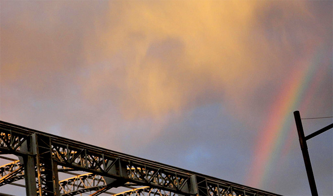 #Lovewins – Non a tutti piace l’arcobaleno