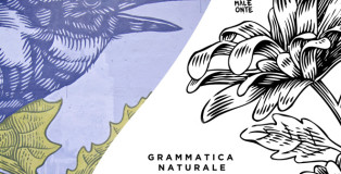 “Grammatica Naturale” - Lucamaleonte solo-show 