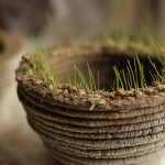 PrintGreen – Stampare la natura