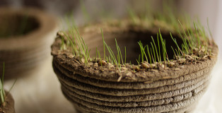 PrintGreen - Stampare la natura