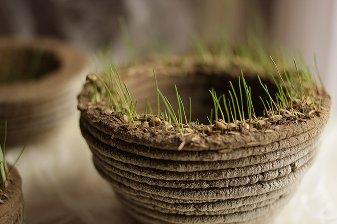 PrintGreen – Stampare la natura