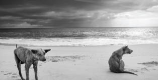 13° Trieste Photofestival - Antonio Manta photography
