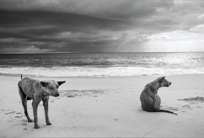 13° Trieste Photofestival – Mostra fotografica