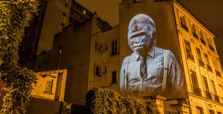 Le Gorille des Cascades / The Gorilla of Cascades // 2015 © Julien NONNON