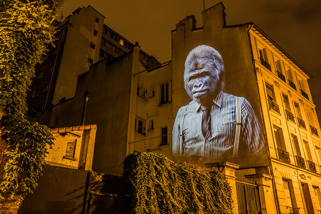 Julien NONNON – Safari Urbano