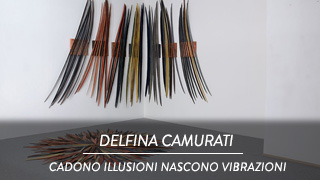 Delfina Camurati - Cadono illusioni nascono vibrazioni