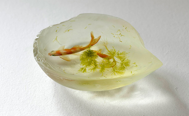 Riusuke Fukahori - Iwashirogamatsu, 2015 - Epoxy resin and acrylic, 5.5 x 3.5 x 1.75 inches