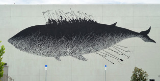 David de la Mano & Pablo Herrero - The calm, Winter Haven, Florida