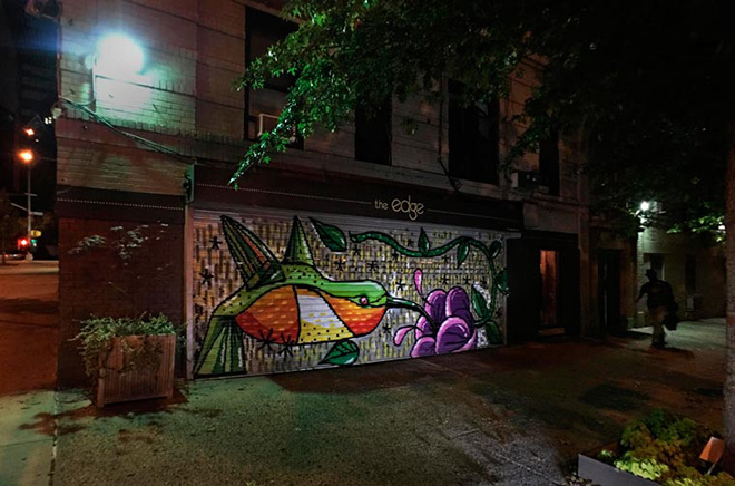 Sockychop - Allen’s Hummingbird, The Audubon Mural Project, New York