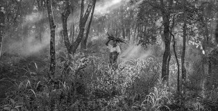 ©Jakob de Boer - Origin Collecting Firewood - Tanzania, 2015 (Catalogue-Cover)