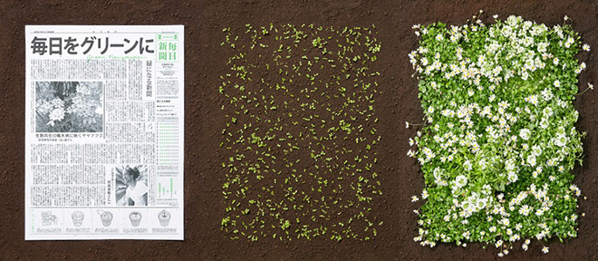 Green Newspaper – Il giornale ecosostenibile