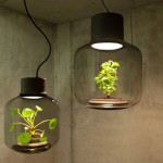 Mygdal Plantlamp – We Love Eames design studio