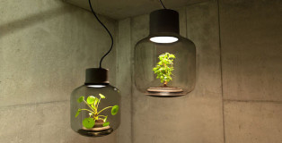Mygdal Plantlamp - We Love Eames design studio
