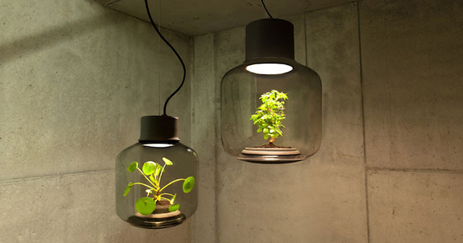 Mygdal Plantlamp – We Love Eames design studio
