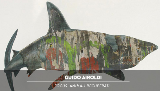 Guido Airoldi - Focus: Animali Recuperati